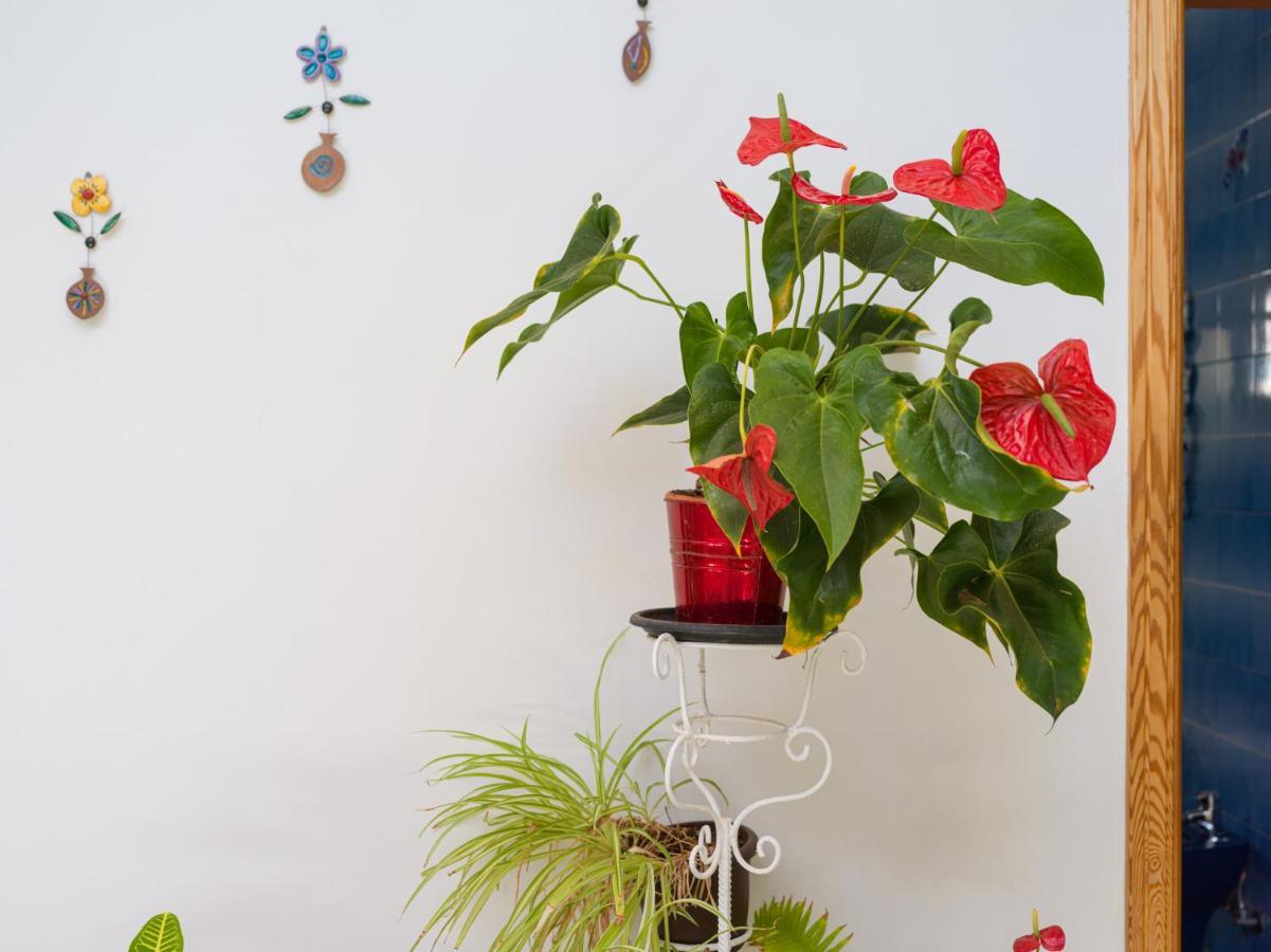 Agaete Pupe Home By Canariasgetaway Eksteriør billede